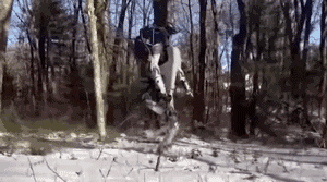 走直線很難嗎？陀螺儀表示，少了它機器人連直線都走不了