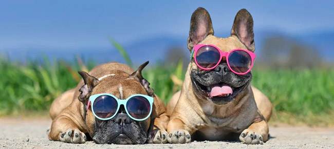 利用先進的電源管理技術(shù)滿足5G通信和數(shù)據(jù)中心應用需求